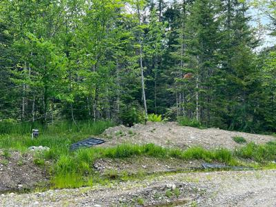 38 Acres of Maine Land for Sale - image 21