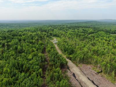 38 Acres of Maine Land for Sale - image 3