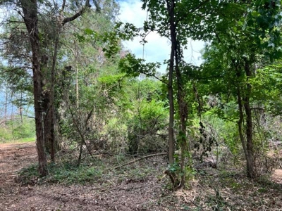 Recreational Property For Sale in Rocky Branch Texas - image 5