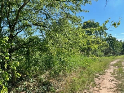 Recreational Property For Sale in Rocky Branch Texas - image 8
