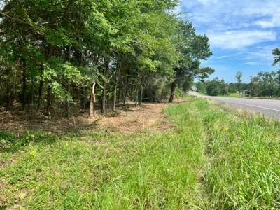 Recreational Property For Sale in Rocky Branch Texas - image 7