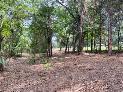 Recreational Property For Sale in Rocky Branch Texas - image 4