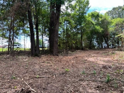 Recreational Property For Sale in Rocky Branch Texas - image 2