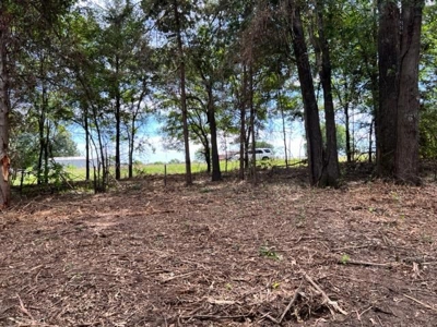 Recreational Property For Sale in Rocky Branch Texas - image 3
