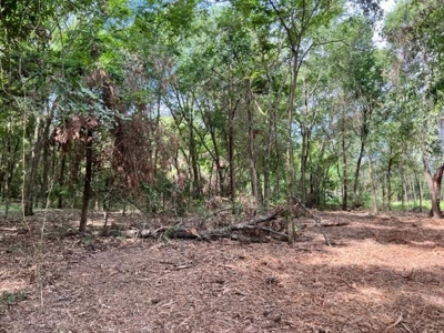 Recreational Property For Sale in Rocky Branch Texas - image 6