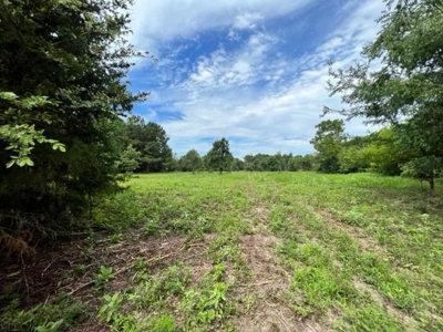 43 Acres of Pine Plantation in East Texas - image 6