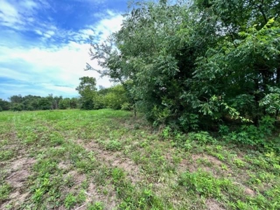 43 Acres of Pine Plantation in East Texas - image 4