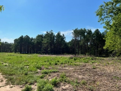 43 Acres of Pine Plantation in East Texas - image 10