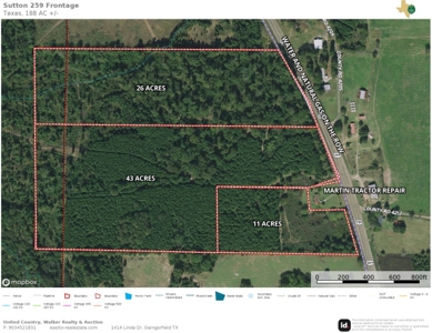 43 Acres of Pine Plantation in East Texas - image 1