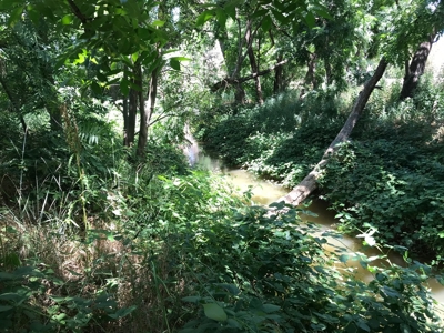 Davis, California land to build for sale - image 5