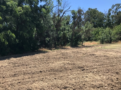 Davis, California land to build for sale - image 11