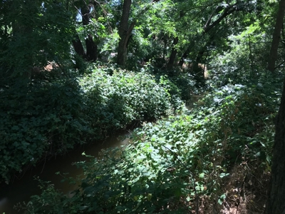Davis, California land to build for sale - image 6