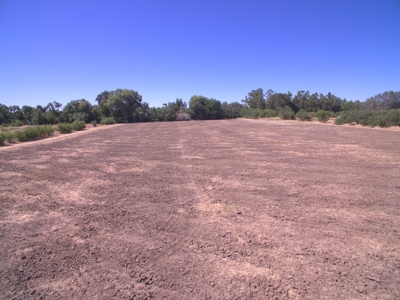 Davis, California land to build for sale - image 15