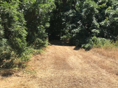 Davis, California land to build for sale - image 4