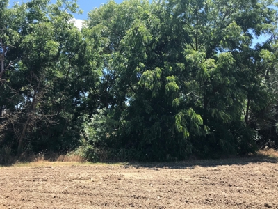 Davis, California land to build for sale - image 10