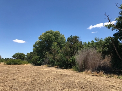 Davis, California land to build for sale - image 9