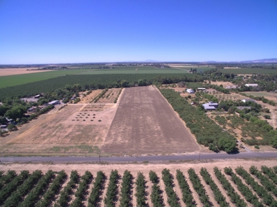 Davis, California land to build for sale - image 1