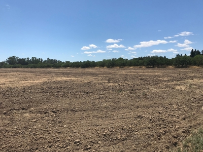 Davis, California land to build for sale - image 12