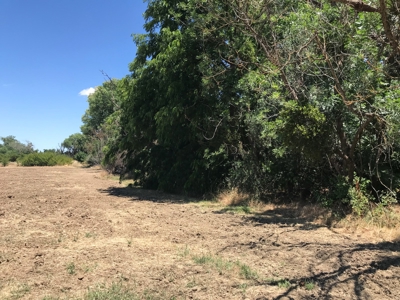 Davis, California land to build for sale - image 13