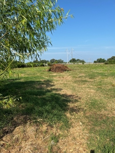 Country Home On 6 Acres For Sale Online Auction - image 26