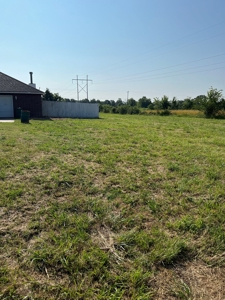 Country Home On 6 Acres For Sale Online Auction - image 3