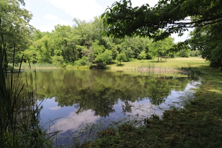 Cape Cod Home on 33 acres in Somerset Ohio - image 28