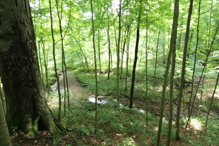 Cape Cod Home on 33 acres in Somerset Ohio - image 30