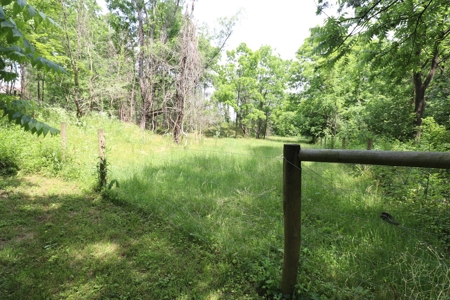 Cape Cod Home on 33 acres in Somerset Ohio - image 33
