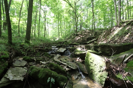 Cape Cod Home on 33 acres in Somerset Ohio - image 31