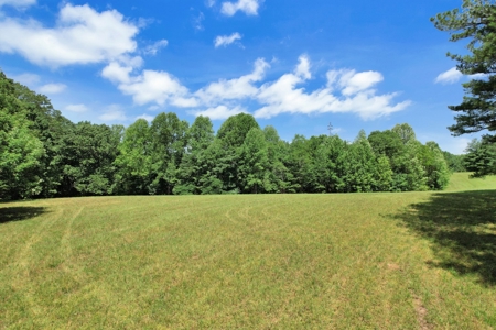 Country living with convenience! - image 1