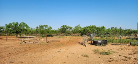 Texas Land for sale near San Angelo, Robert Lee, and Midland - image 10