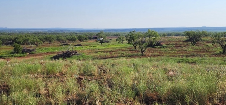Texas Land for sale near San Angelo, Robert Lee, and Midland - image 15