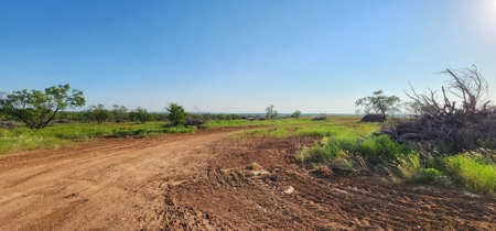 Texas Land for sale near San Angelo, Robert Lee, and Midland - image 23