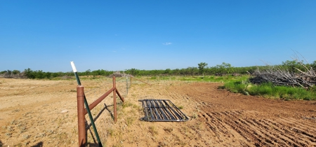 Texas Land for sale near San Angelo, Robert Lee, and Midland - image 11