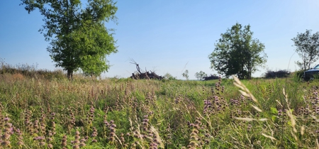 Texas Land for sale near San Angelo, Robert Lee, and Midland - image 30