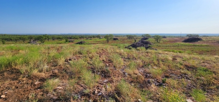 Texas Land for sale near San Angelo, Robert Lee, and Midland - image 16