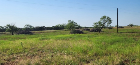 Texas Land for sale near San Angelo, Robert Lee, and Midland - image 20