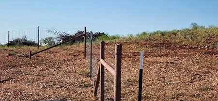 Texas Land for sale near San Angelo, Robert Lee, and Midland - image 27