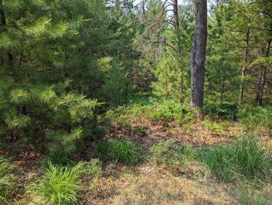 Log Cabin on Canada Creek Ranch for Sale Atlanta MI - image 35