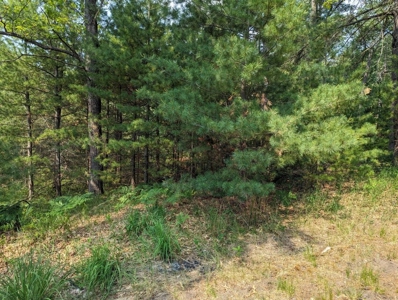 Log Cabin on Canada Creek Ranch for Sale Atlanta MI - image 36