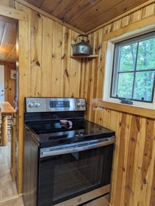 Log Cabin on Canada Creek Ranch for Sale Atlanta MI - image 21