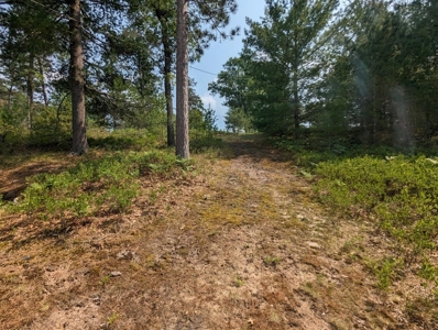 Log Cabin on Canada Creek Ranch for Sale Atlanta MI - image 41