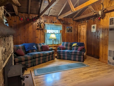 Log Cabin on Canada Creek Ranch for Sale Atlanta MI - image 6