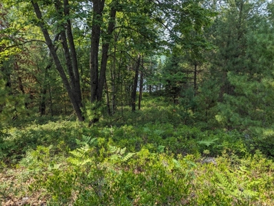 Log Cabin on Canada Creek Ranch for Sale Atlanta MI - image 38