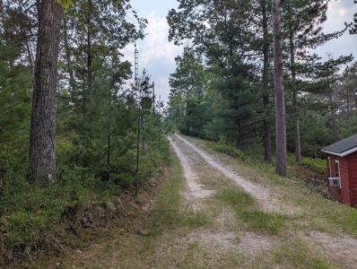 Log Cabin on Canada Creek Ranch for Sale Atlanta MI - image 1