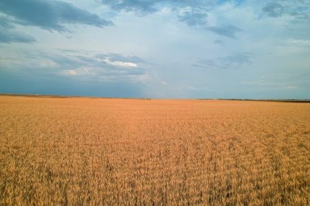Milk River Treasure Ranch Dryland Farm Hay Production - image 40