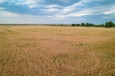 Milk River Treasure Ranch Dryland Farm Hay Production - image 34
