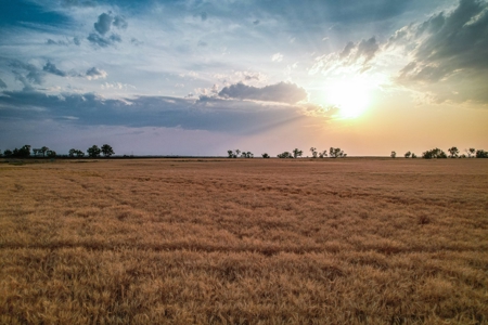 Milk River Treasure Ranch Dryland Farm Hay Production - image 42