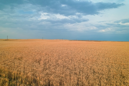 Milk River Treasure Ranch Dryland Farm Hay Production - image 41