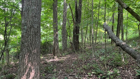 Vinton County Ohio Land for Sale - image 32